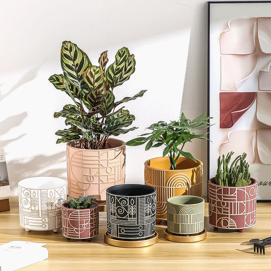 Simple Cylindrical Ceramic Flower Pot Succulent Plant Potted Garden Decoration Interior Countertop Flower Pot with Golden Tray